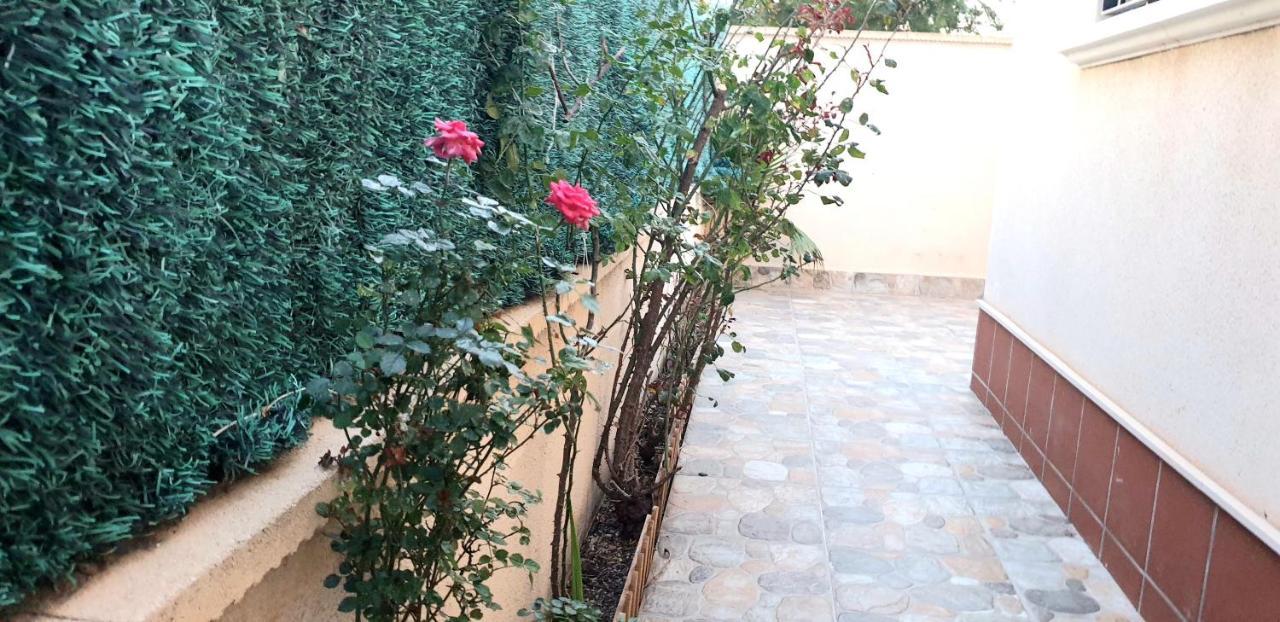 Arco Mediterraneo Chalet Independiente Torrevieja Eksteriør billede
